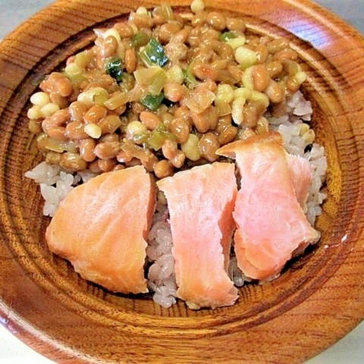 焼き鮭と納豆(天かす・ネギの醬油漬け)丼